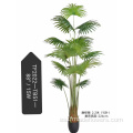 Simulación Planta Tang Palm Sunflower para decoración interior